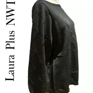Laura Plus Black Sweater Beaded  Arms Business Casual Quiet Luxury